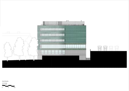 Paradise SE11 Mass Timber Office